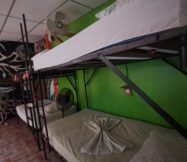 Balgue House | Lazy Crab Hostel