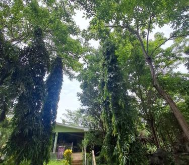 Santa Cruz Hostel | Roots hostel & Camping Ometepe