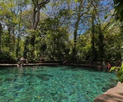 Merida House | Cabaña Del Árbol - Ometepe