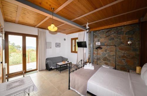 Politiko Ski Chalet | Fikardou Chalets