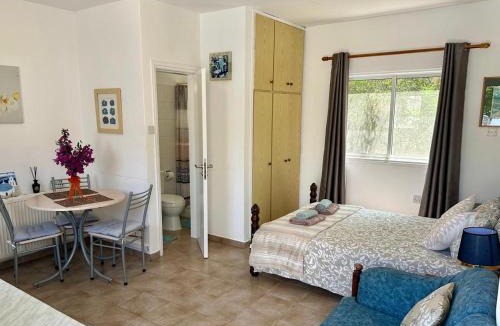 Kapparis Apartment | Detached Cozy Studio