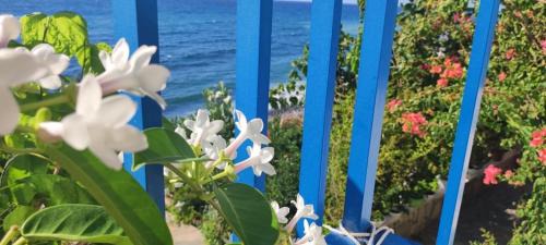 Pomos Apartment | Mourayio Apartments