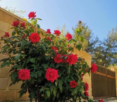 Agios Mamas Villa | House of Roses
