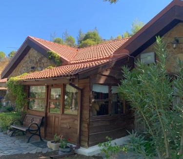 Vasa Koilaniou House | Village Cottage for quiet escapes