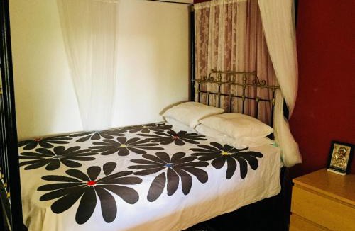 Dromolaxia Apartment | Artist Cottage in Dromolaxia