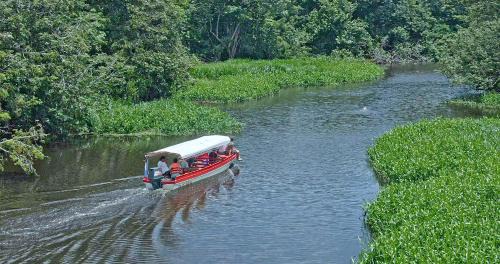 El Castillo Cabin | Guacimo Lodge