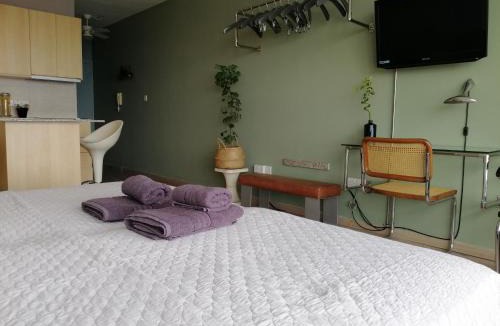 Historical Center Apartment | Penthouse at Oceanic