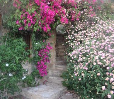 Lemona House | Oleander Stone House