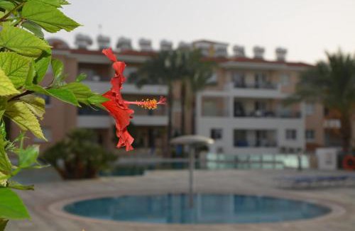 Universal Apartment | Iris Village