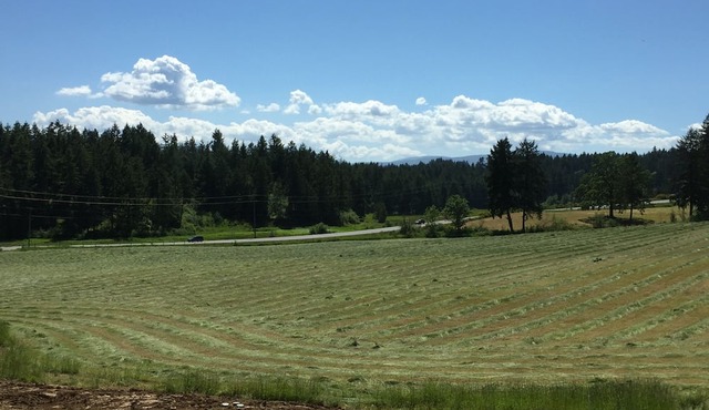 LACEY MEADOWS Acreage in Duncan