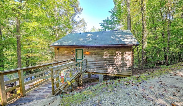 'Gone Hiking' Bryson City Cabin w/Hot Tub & Grill in Bryson City