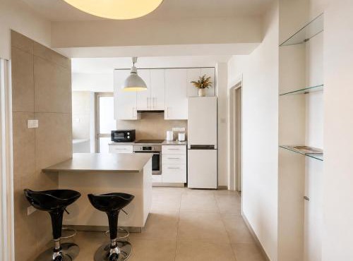 Spacious Apartment in Nicosia Landmark Hotel Area - Stasinou By Platform 357 in Strovolos