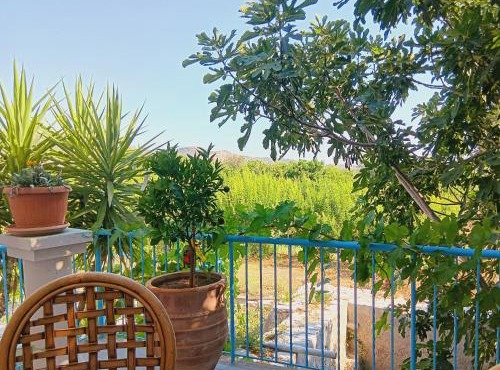 The Orangerie Mountain Village House in Limnatis