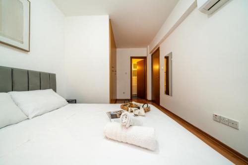 2 bedroom flat in center