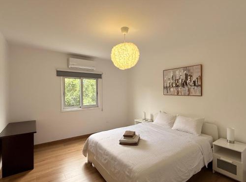 Ellas Modern Duplex City Center in Nicosia