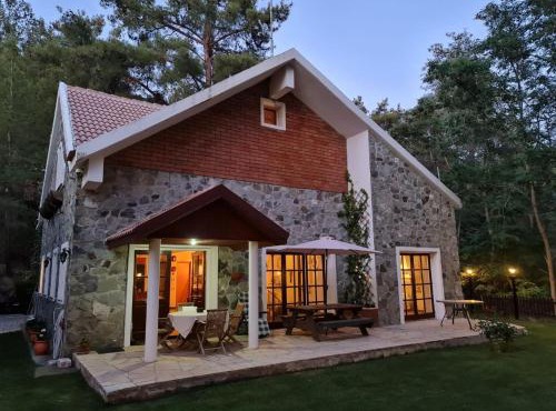 VILLa ENRIETTe - Panoramic Mountain Retreat in Pano Platres, Cyprus