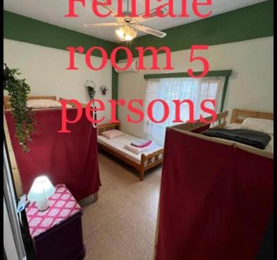 Past or Tail hostel in Larnaca